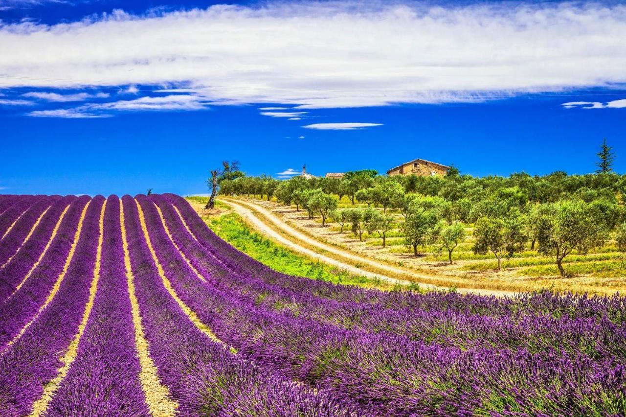 La Maison Des Collines Allemagne-en-Provence Exterior foto